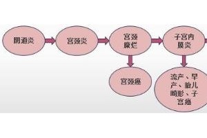 科学技术创新引领女人私护健康新潮流