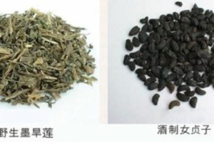 摄生常识青丝最好用的方剂2味中药代茶饮一个特效穴补虚又乌发