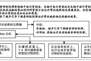 超声引导下椎旁神经阻滞医治带状疱疹相关痛苦的Meta剖析